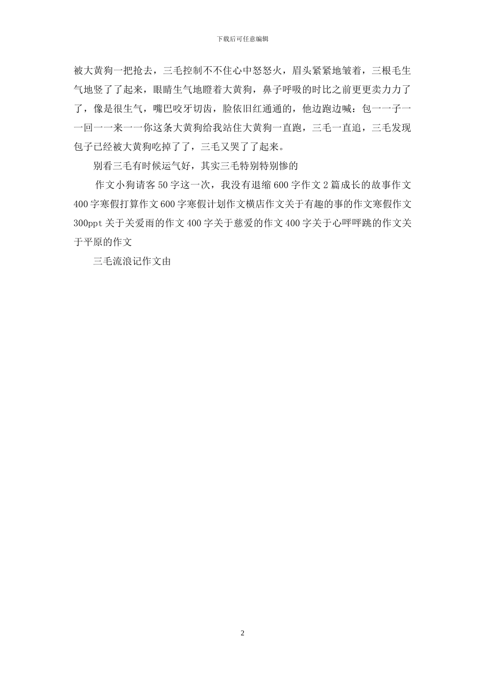 三毛流浪记作文_第2页