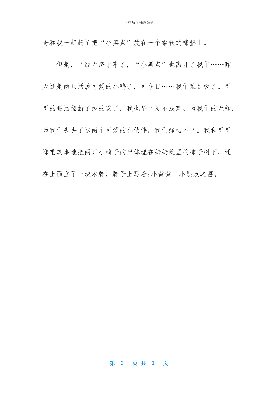 两只可爱的小鸭子作文_第3页