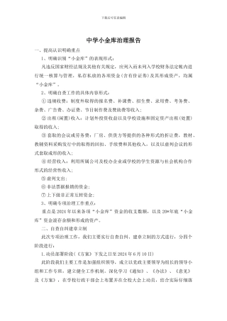 中学小金库治理报告