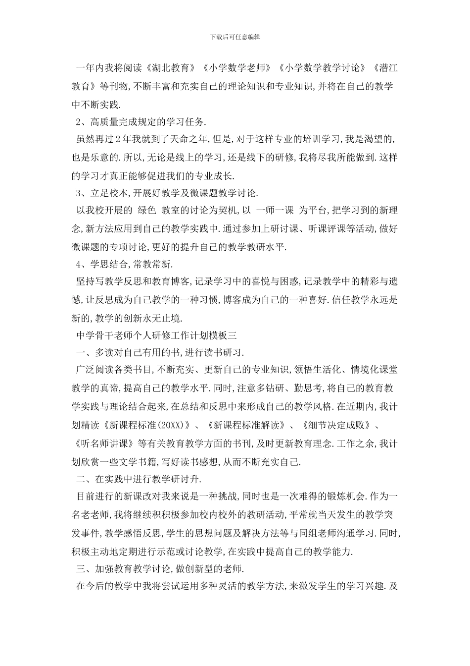 中学骨干教师个人研修工作计划模板五篇_第3页