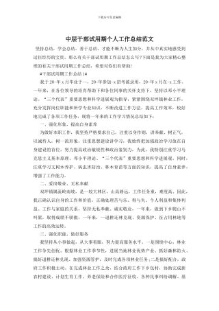 中层干部试用期个人工作总结范文