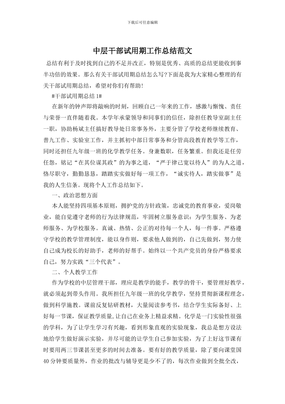 中层干部试用期工作总结范文_第1页