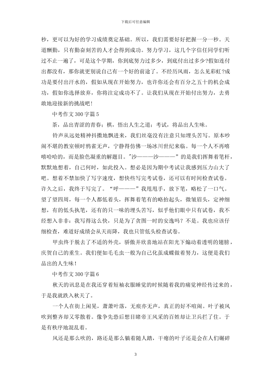 中考作文300字集合7篇-1_第3页