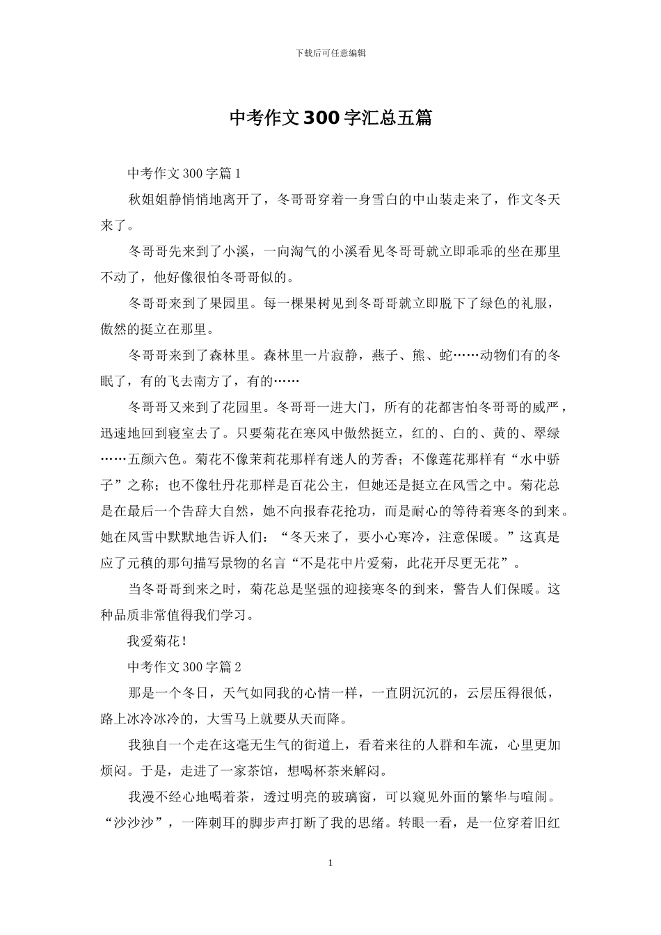 中考作文300字汇总五篇_第1页