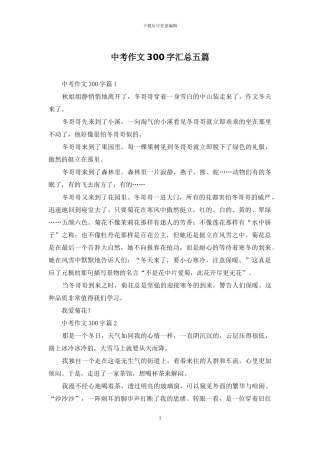 中考作文300字汇总五篇