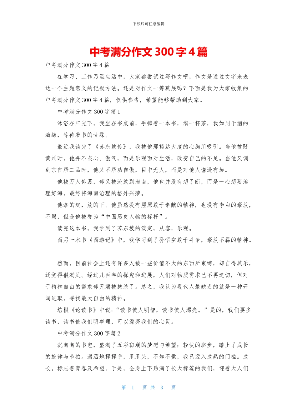 中考满分作文300字4篇_第1页