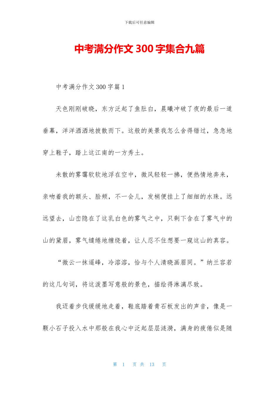 中考满分作文300字集合九篇_第1页