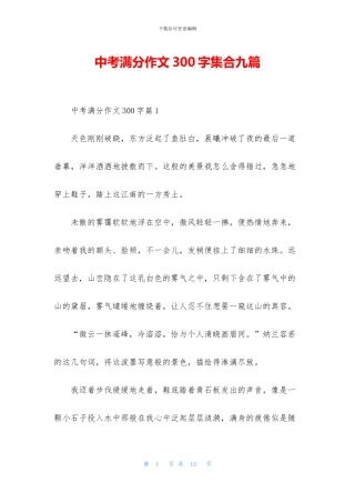 中考满分作文300字集合九篇