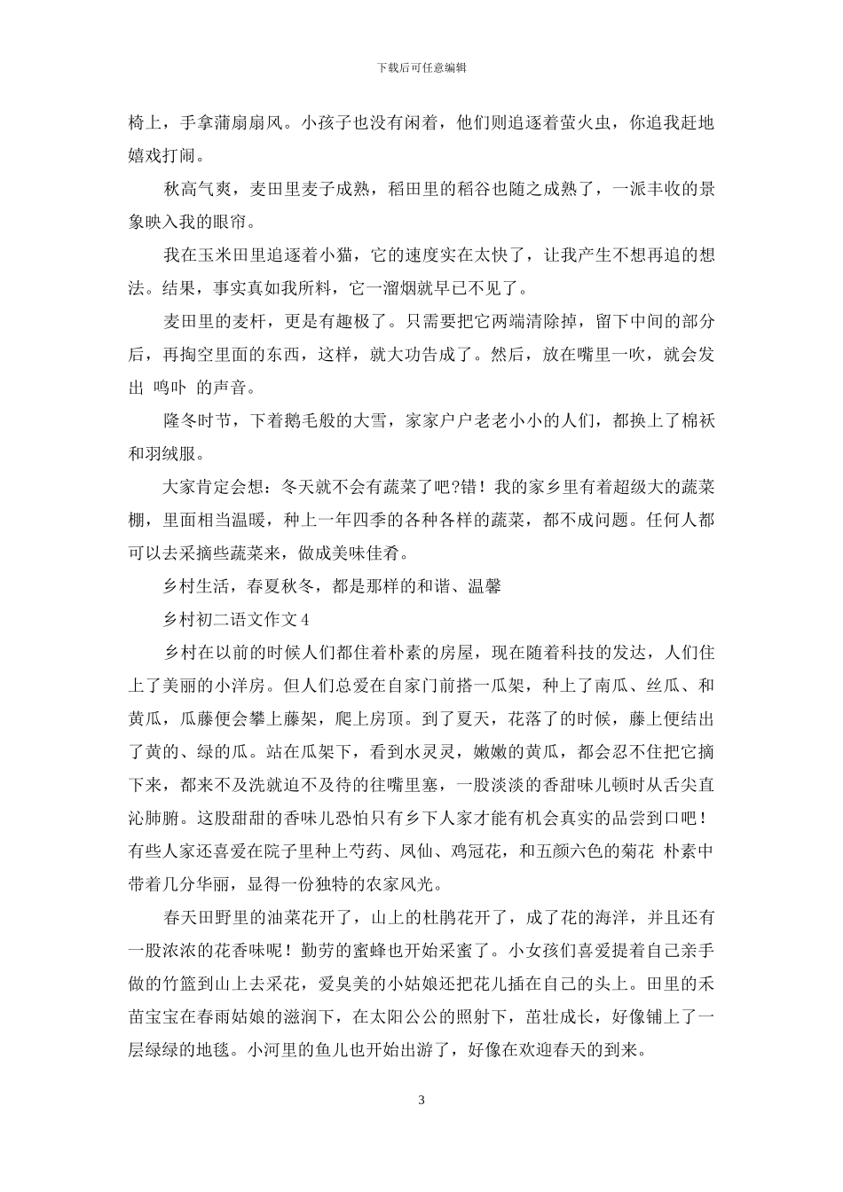 乡村初二语文作文五篇_第3页