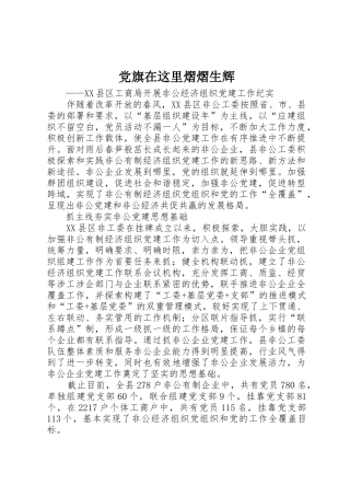 党旗在这里熠熠生辉