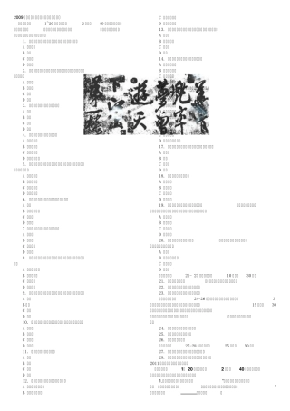 2009年成人高考专升本艺术概论模拟练习题
