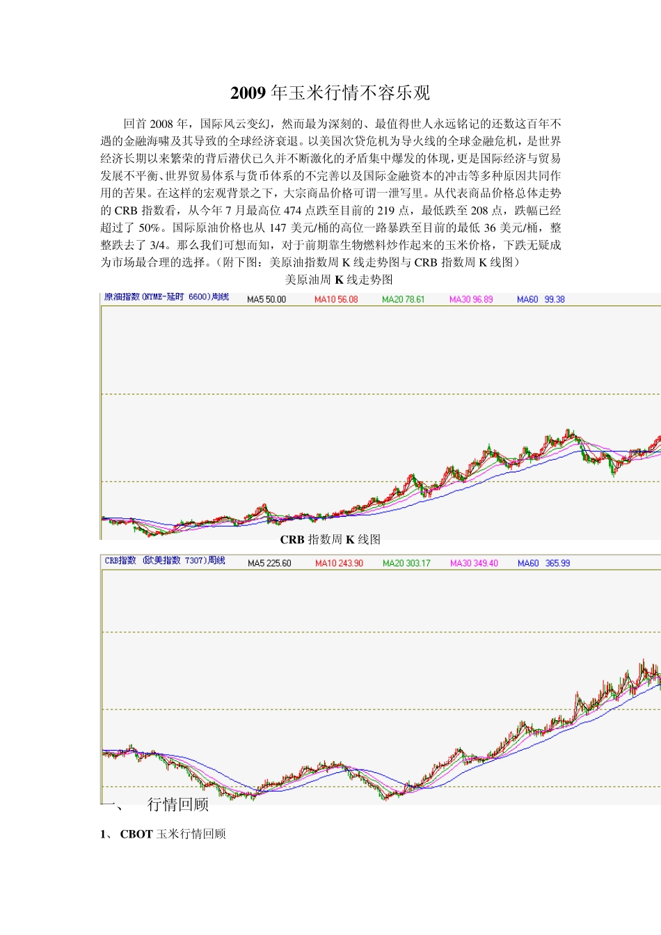 2009年玉米行情不容乐观_第1页