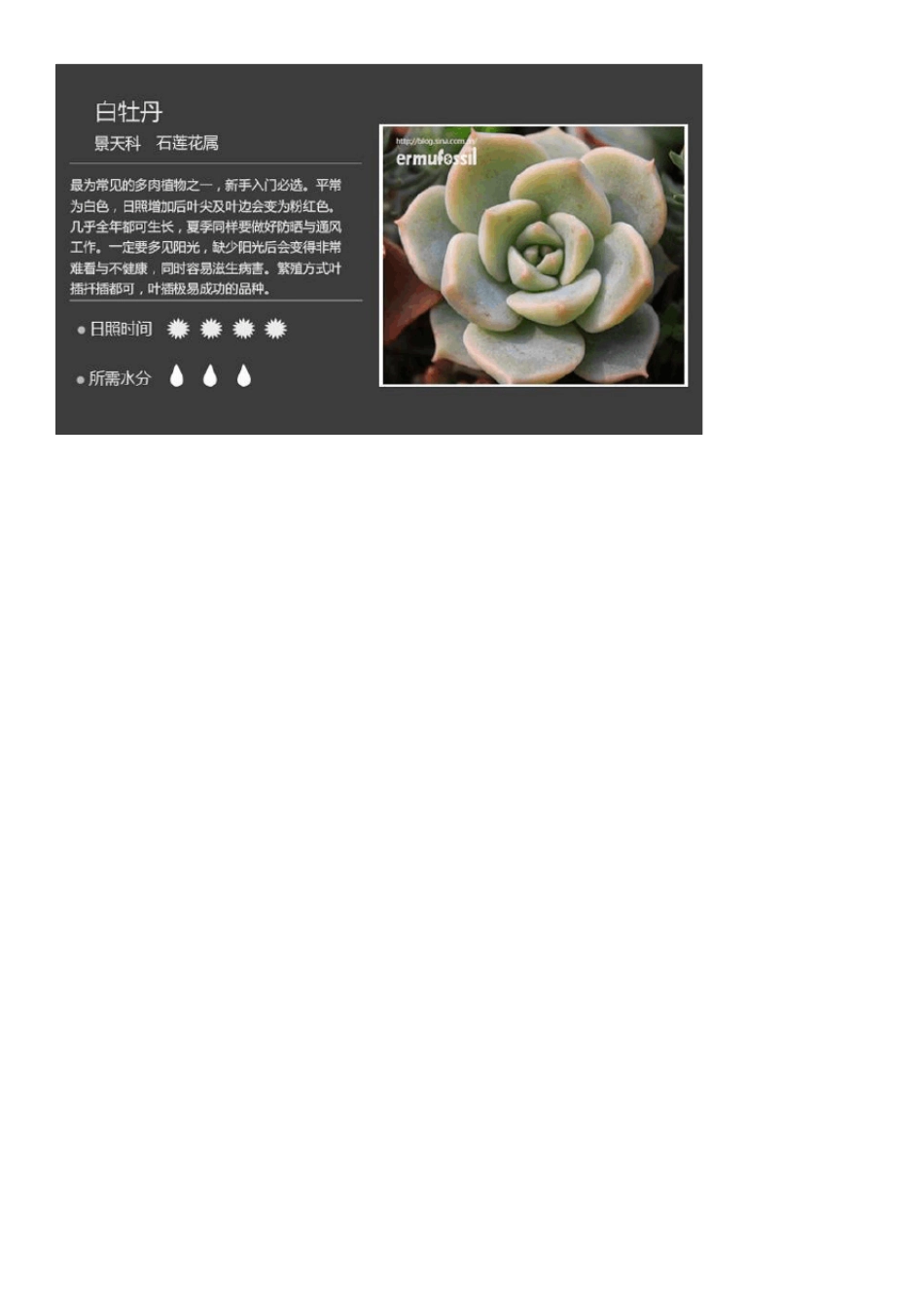 200种常见多肉植物图鉴_第2页