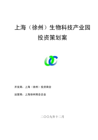 20100115上海产业园投资方案