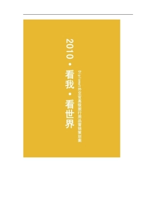 2010·看我·看世界(外交官箱包)