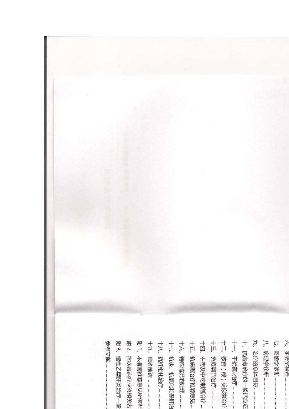 2010中国慢乙肝防治指南_第2页