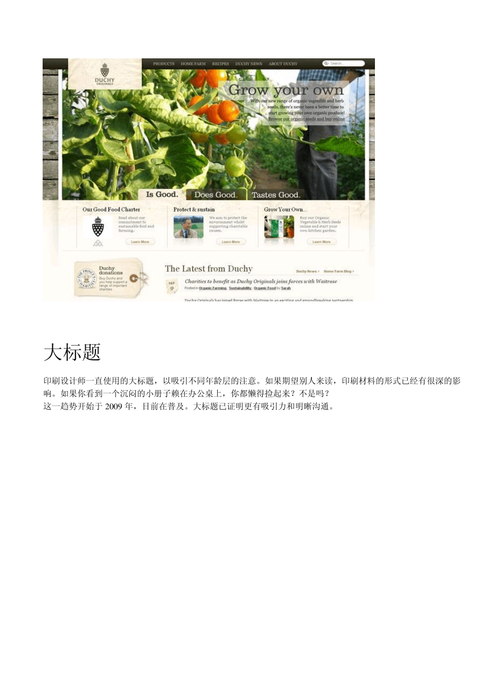 2010优秀网页设计风格及分析_第3页