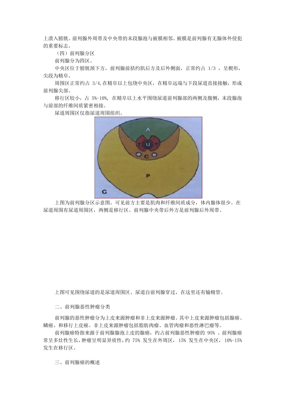 2010年1月前列腺MRI_第2页