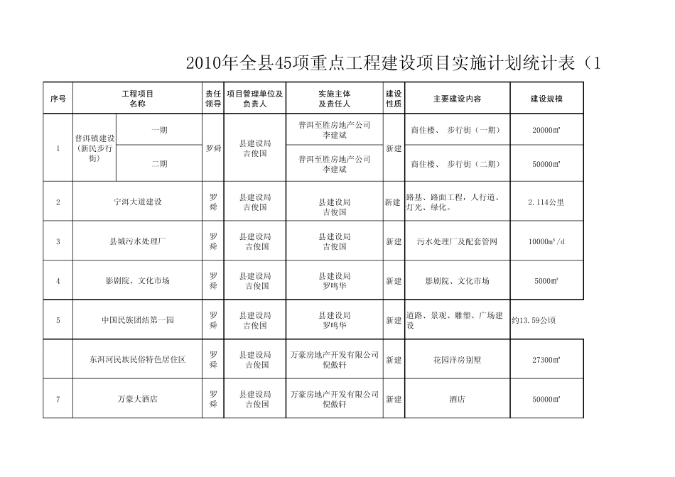 2010年全县45项重点工程建设项目实施计划统计报表_第1页
