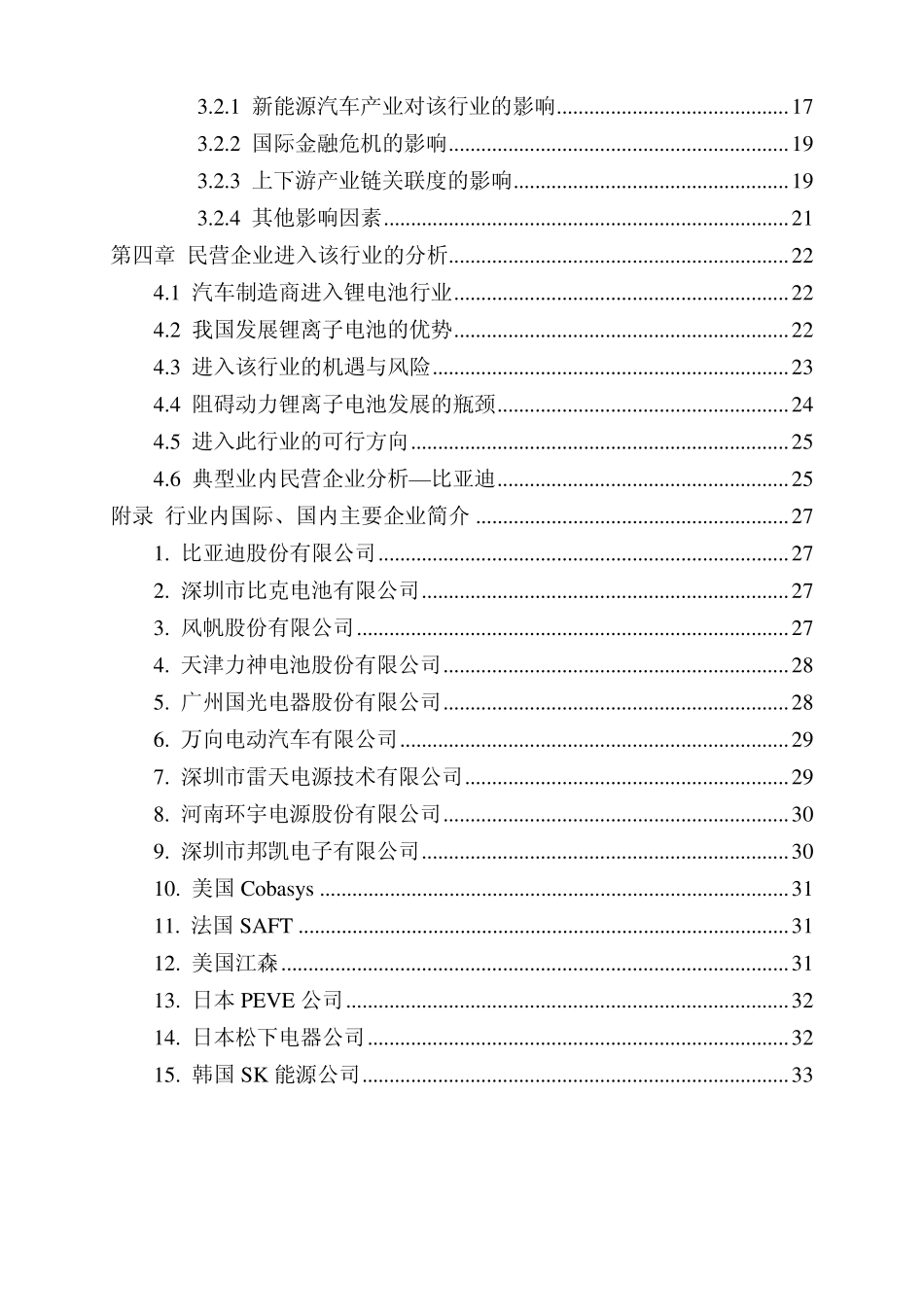 2010年动力锂离子电池行业调研报告_第2页