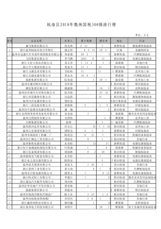 2010年国税300强企业