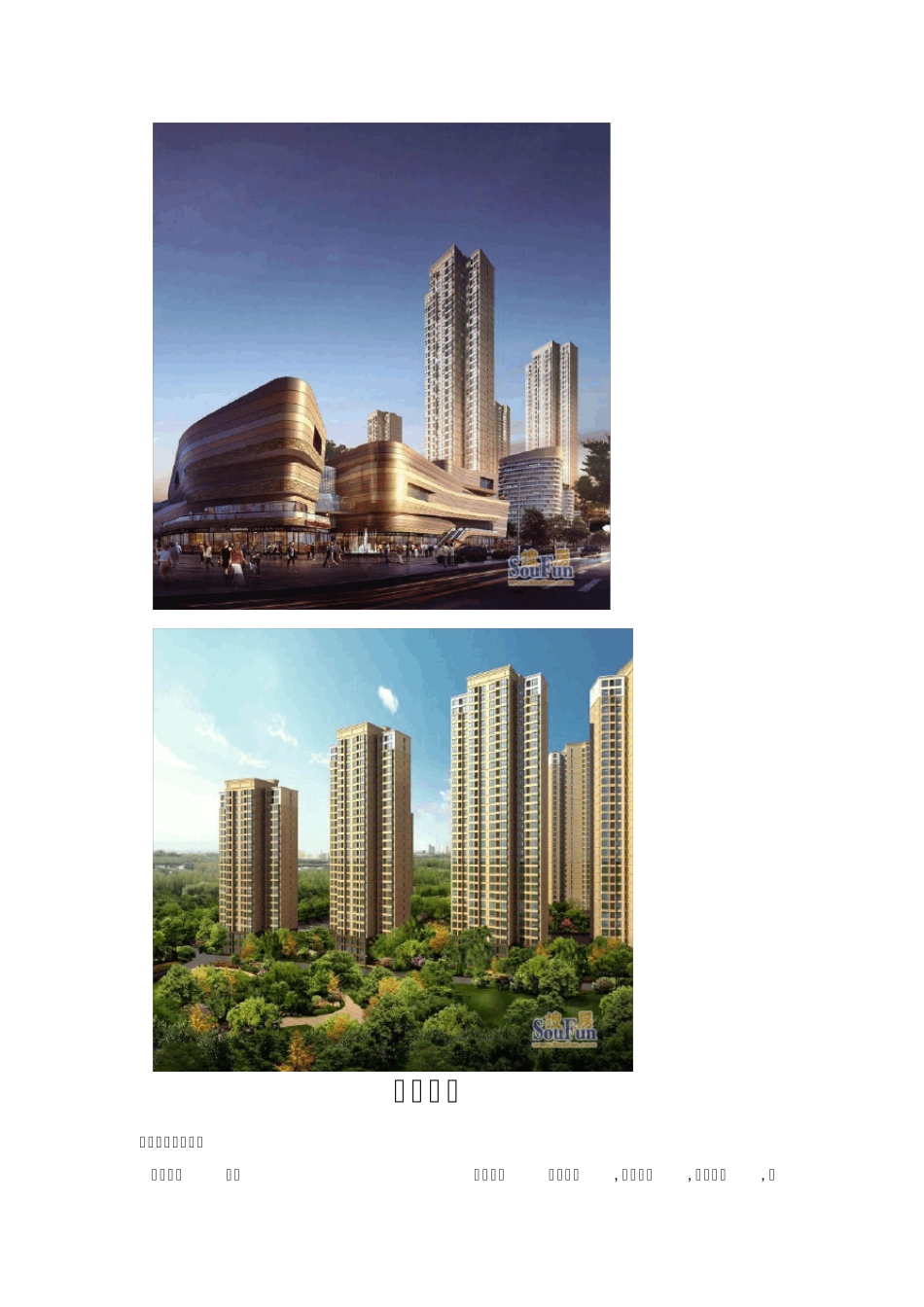 2010年天津市津南区房地产项目调研_第3页