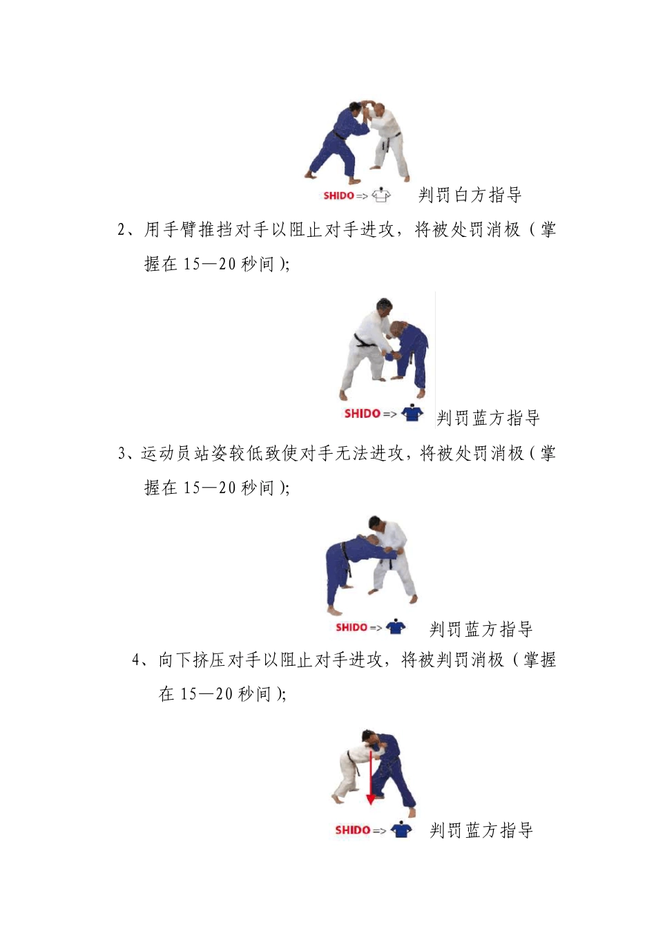 2010年度全国柔道比赛裁判规则_第3页