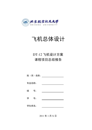 2010年度飞行器总体设计DT12设计小组课程项目最终总结报告