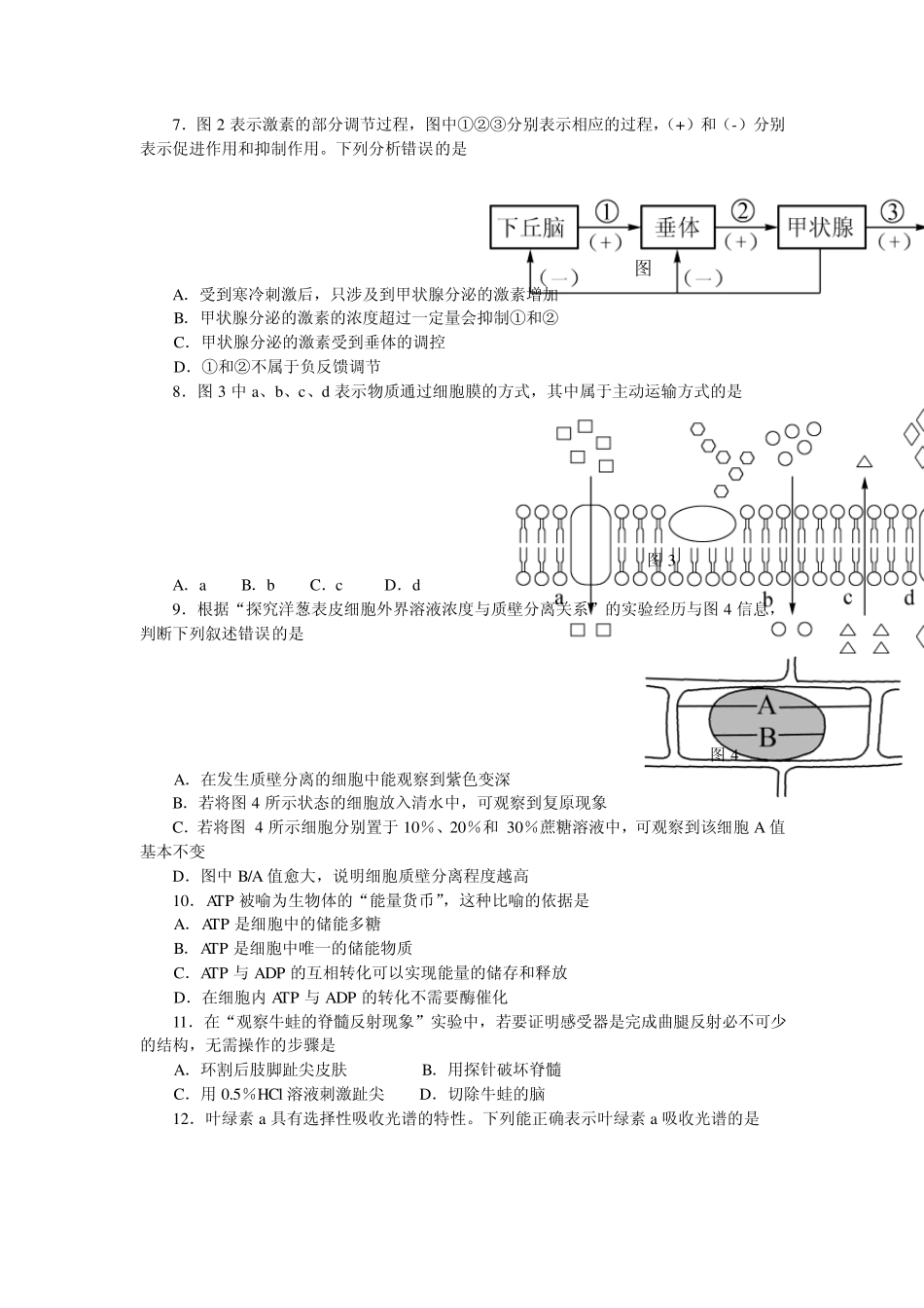 2011上海生命科学会考试卷及答案_第2页