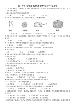 2011年1月广东省普通高中生物学业水平考试试卷