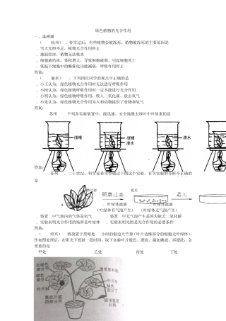 2011年生物中考题汇编—绿色植物的光合作用和呼吸作用