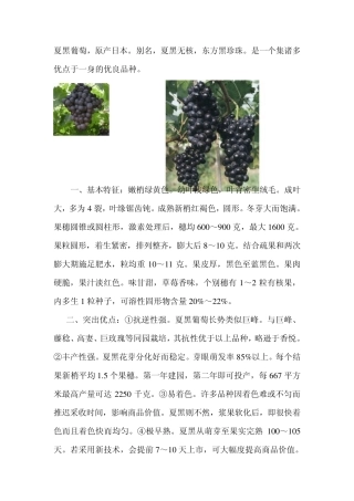 2011年葡萄新品种