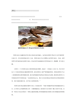 2011年高考地理热点：飓风将墨西哥湾泄漏原油吹上美国