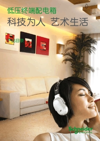 2011施耐德低压终端配电箱产品目录