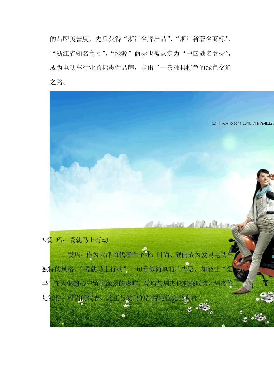 2012十大品牌电动车综合排名_第2页