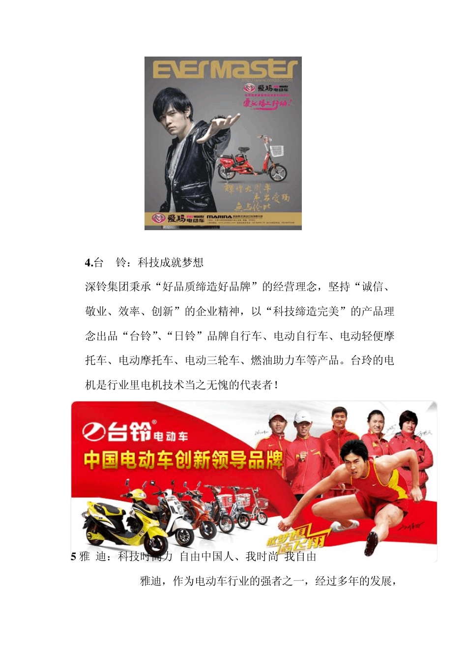 2012十大品牌电动车综合排名_第3页