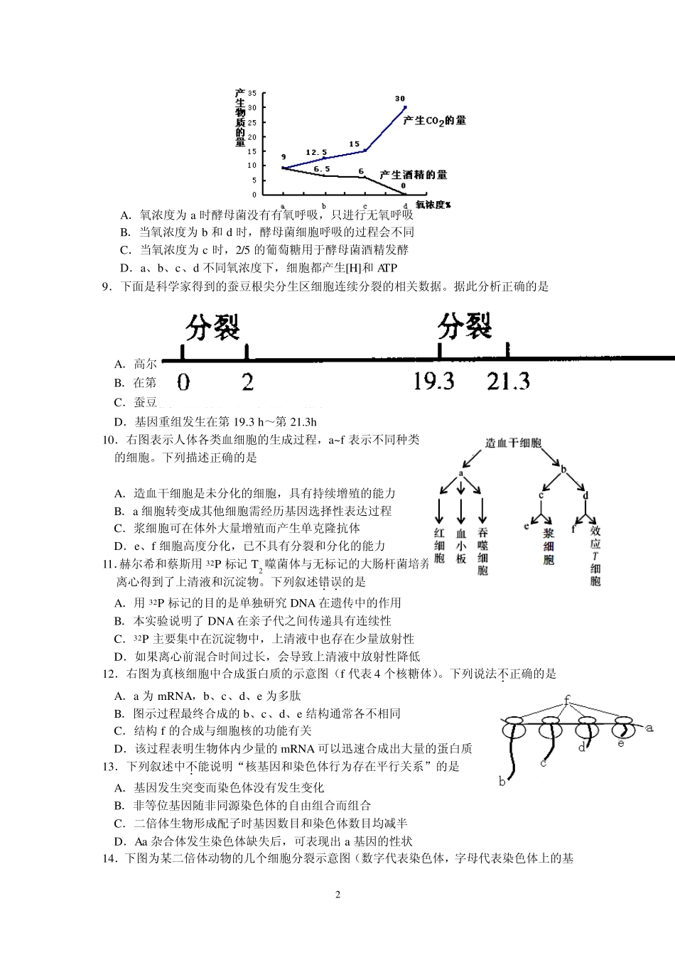 2012年1月高三生物期末试题及答案(朝阳)_第2页