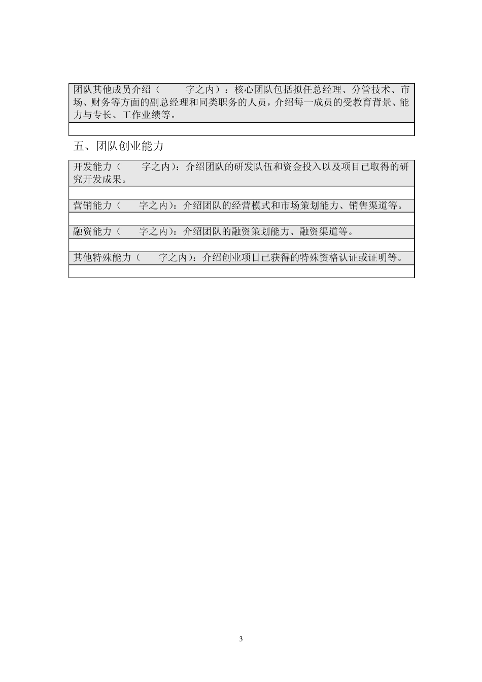 2012年321创业计划书模板_第3页