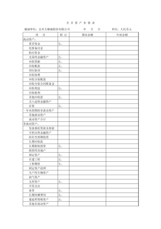 2012年五粮液集团财务报表