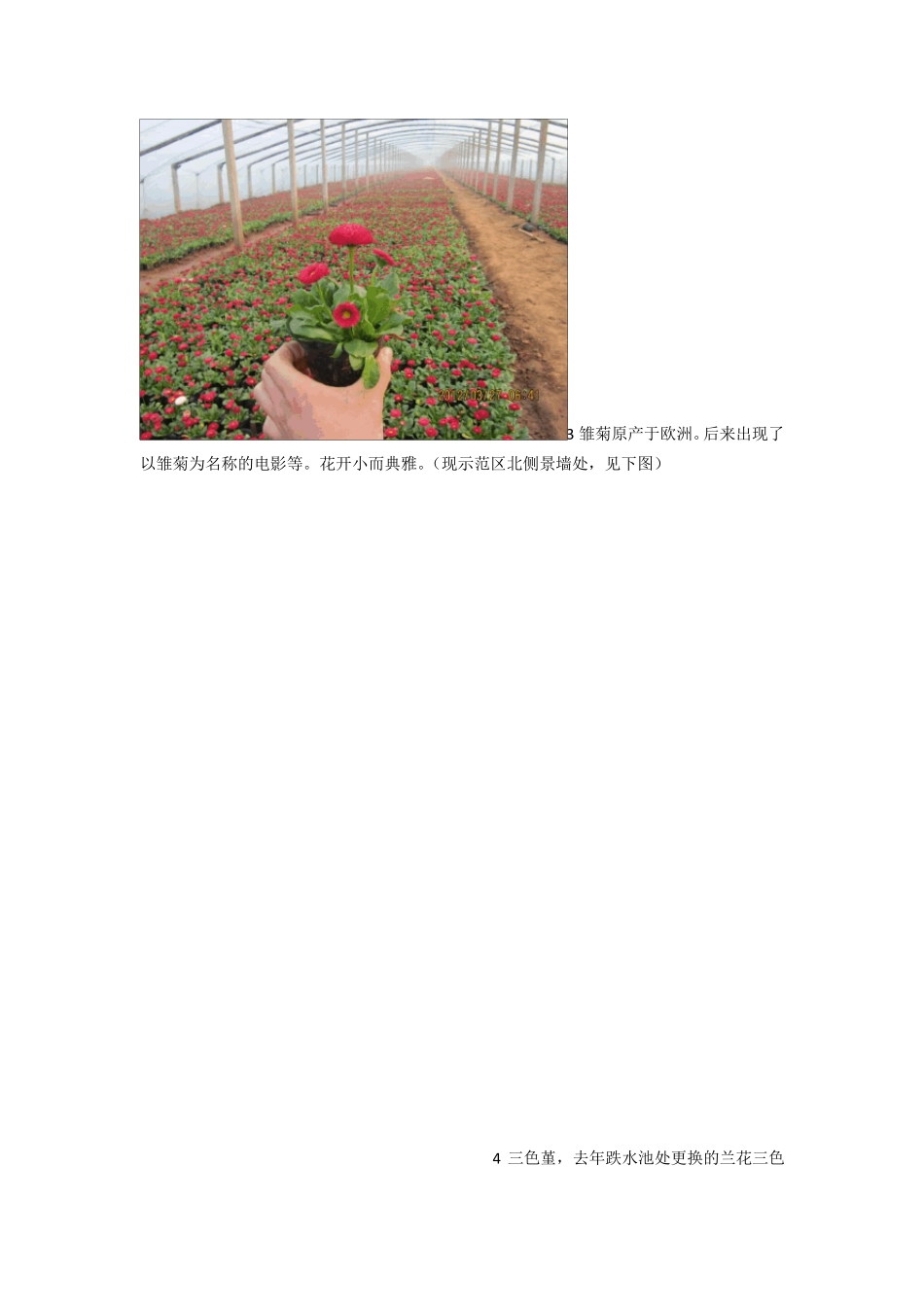 2012年各阶段草花更换方案_第3页