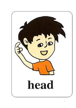 2012新版PEP三年级上册英语脸部五官单词及动作短语卡片