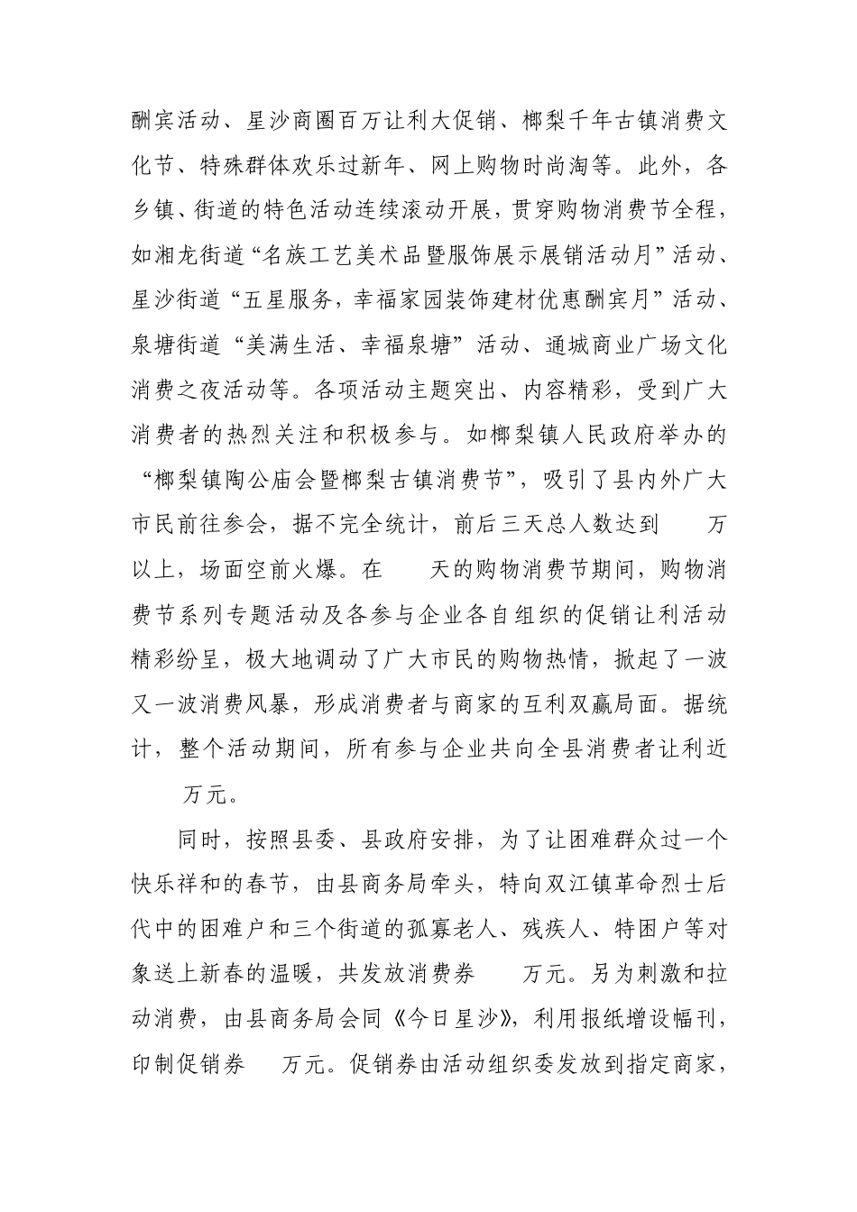 2012购物消费节总结_第2页
