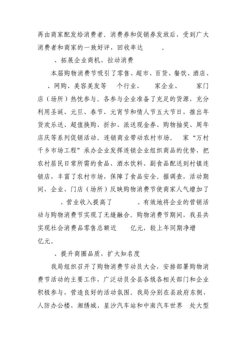 2012购物消费节总结_第3页
