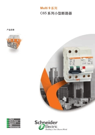 Multi9系列C65系列小型断路器产品目录