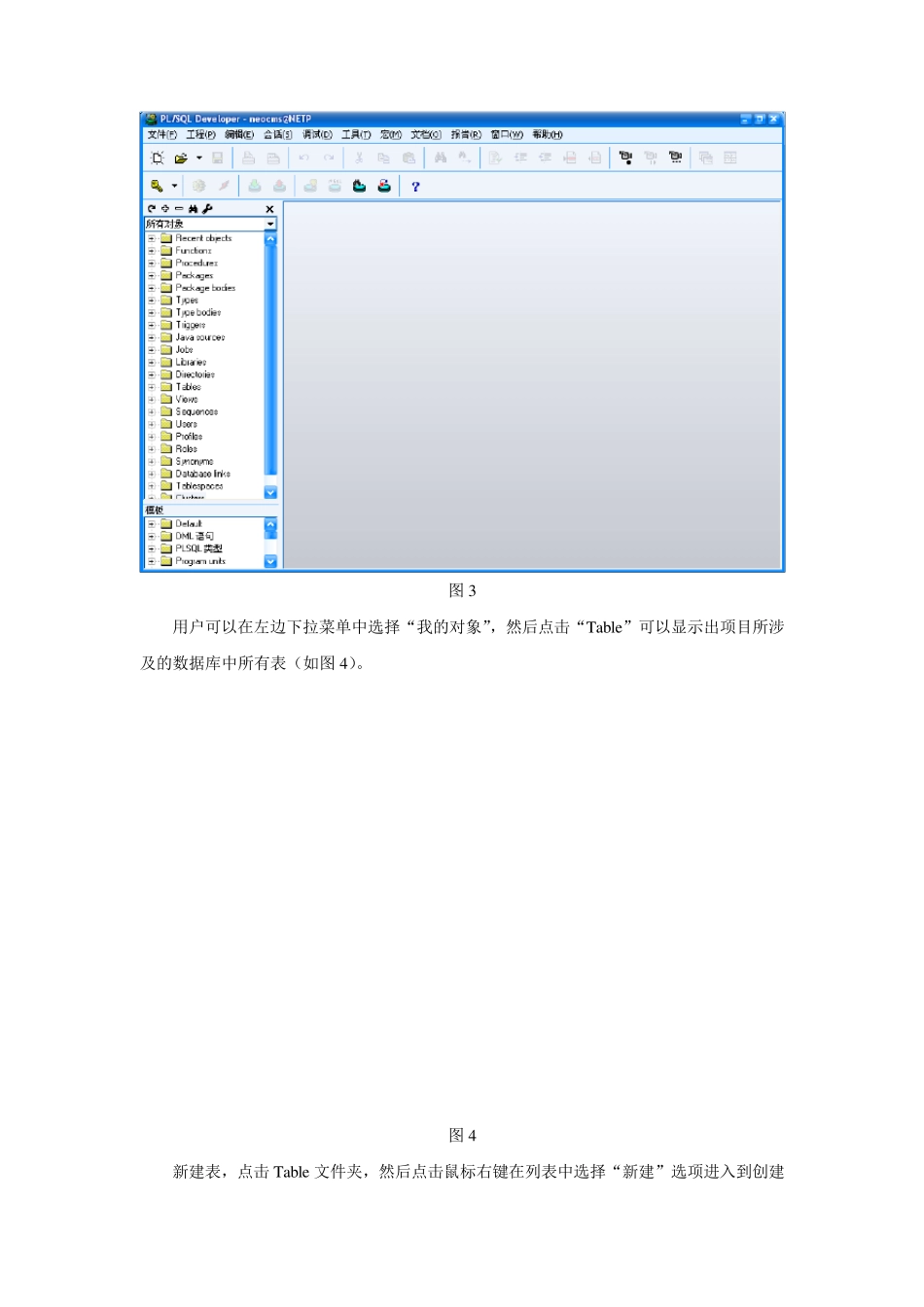 PLSQL+Developer工具的使用(非常详细)_第2页