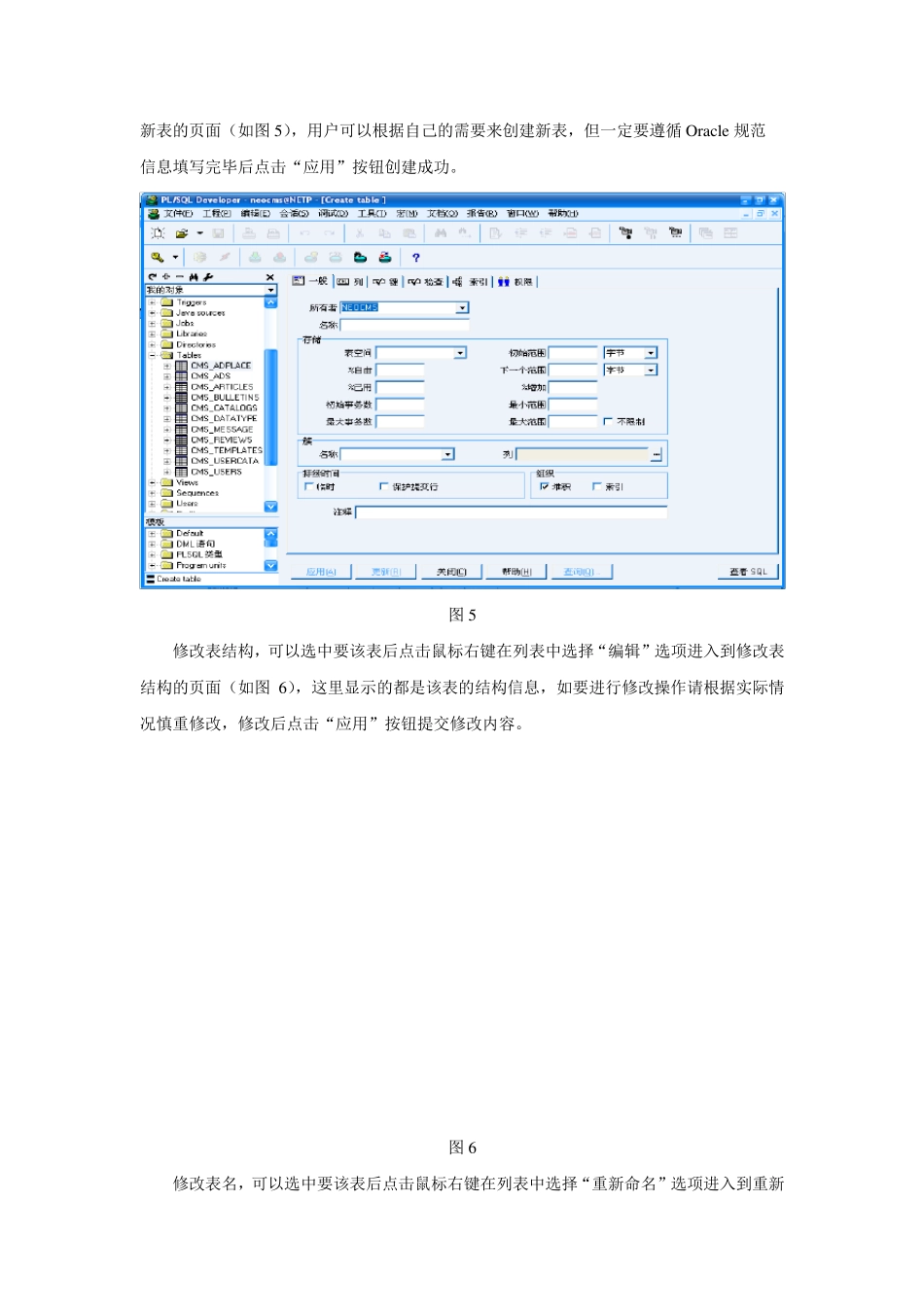 PLSQL+Developer工具的使用(非常详细)_第3页