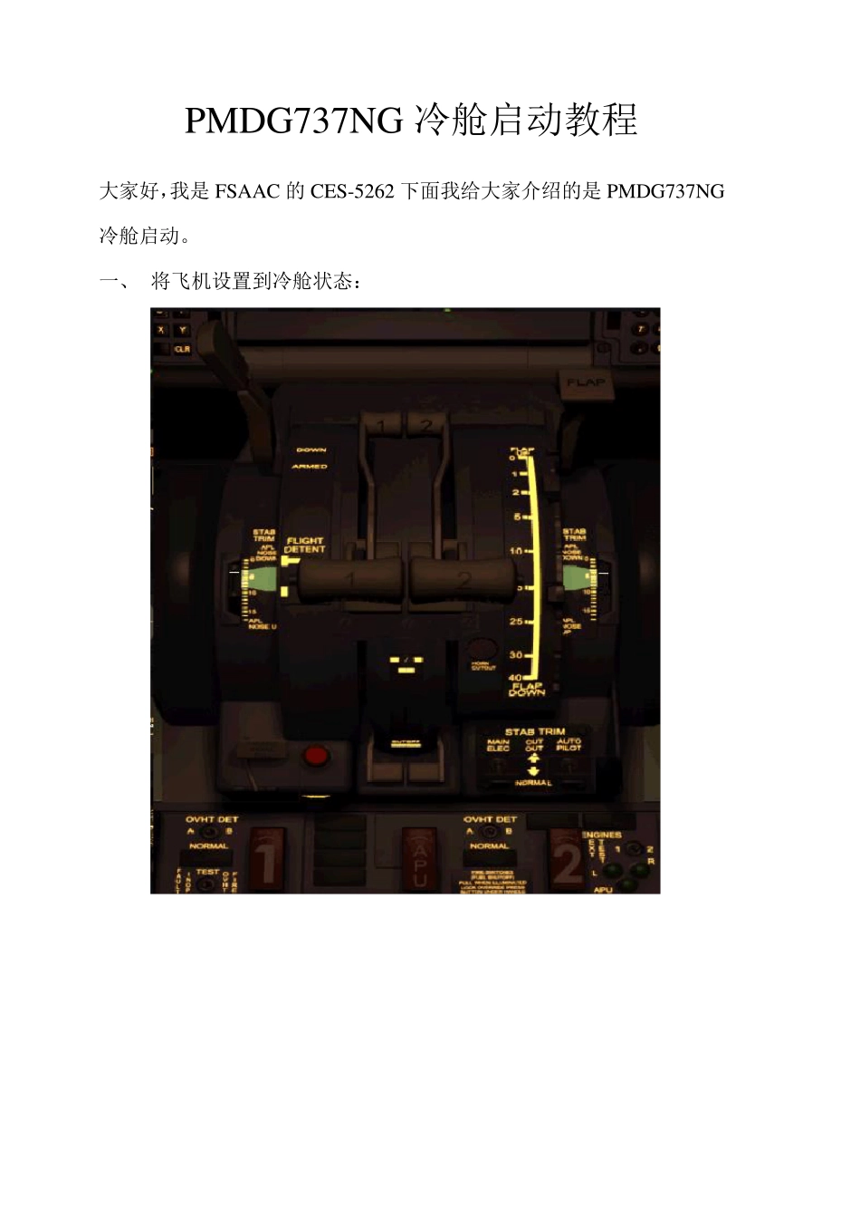 PMDG737NG冷舱启动图文教程_第1页