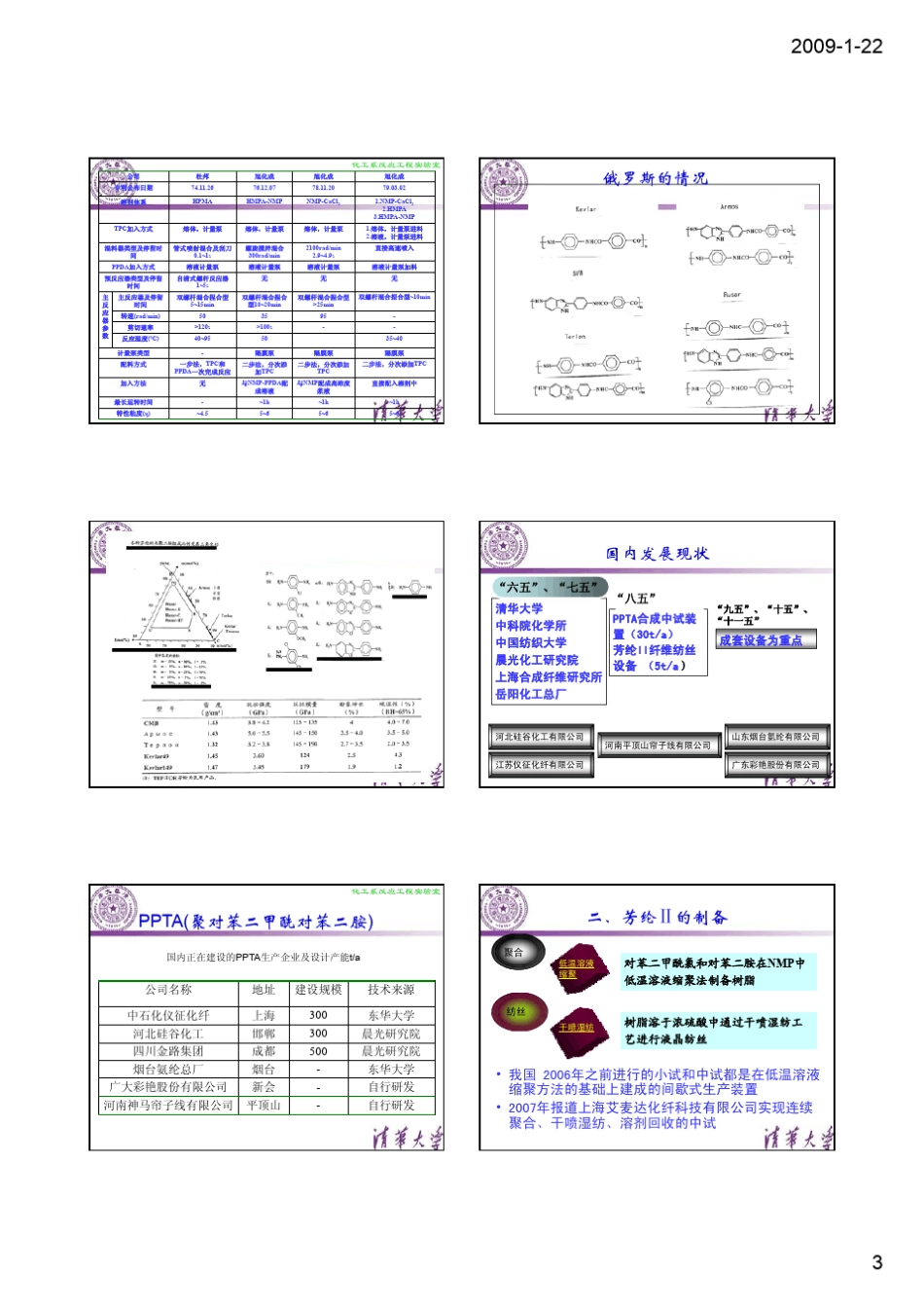 PPTA合成与纺丝b.ppt_第3页