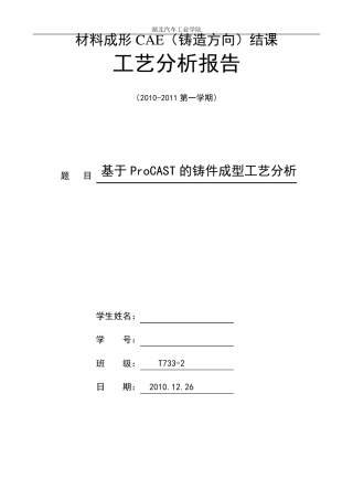 Procast工艺分析报告