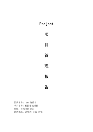 PROJECT项目管理报告